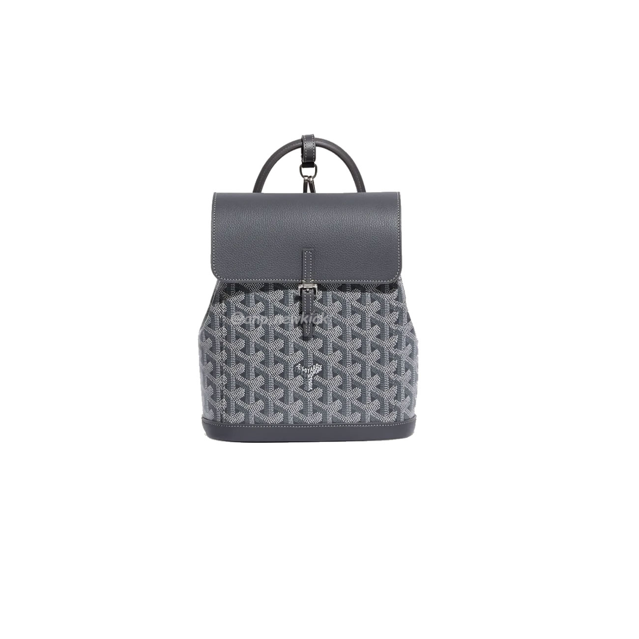Goyard Alpin Mini Backpack 23 Cm X 9.5 Cm X 19 Cm (10) - www.newkick.vip